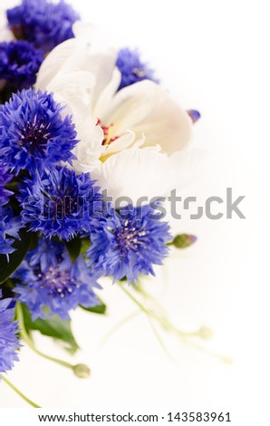 A bouquet of white and blue flowers (arrangement of cornflowers