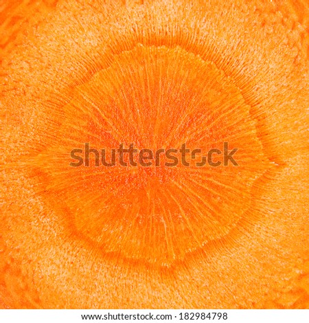 Carrot vegetable square frame texture background