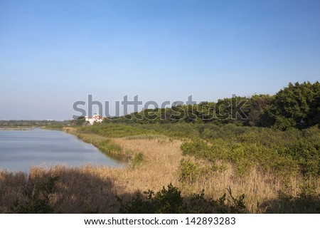 Nansha wetland park