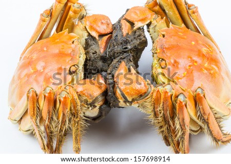 Chinese cooked hairy crab