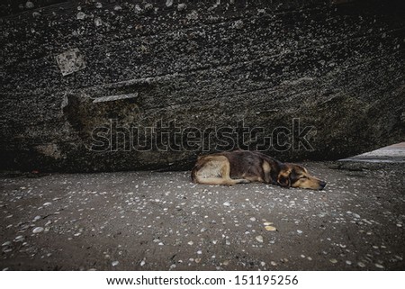 A lonely dog is sleeping underneath an old big boat on a beach.