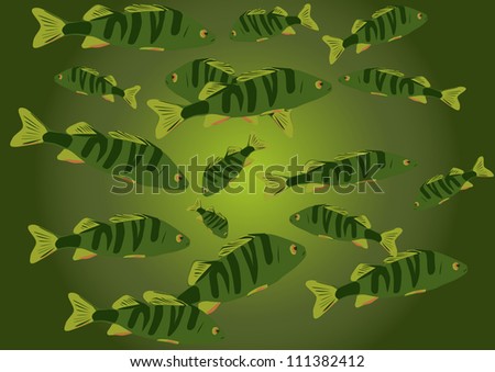group of predatory fishes