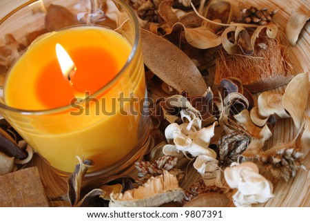 Burning candle and dried plants