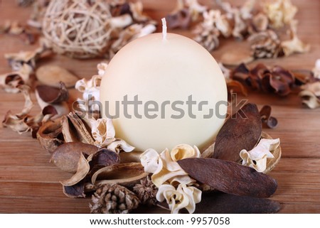Candle and dried plants