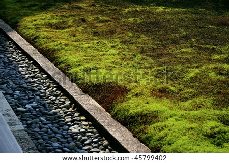 Close-up of japan(zen)-garden footway of stones and green moss
