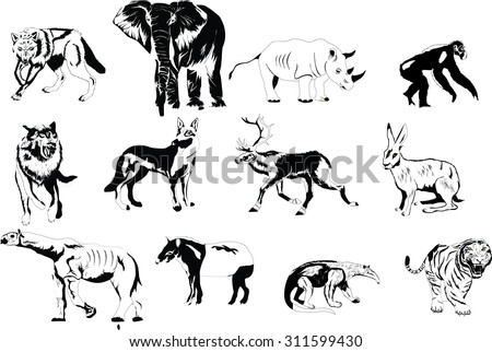 Set Of Different Animals In White Black Colors: Elephant, Wolf, Deer ...