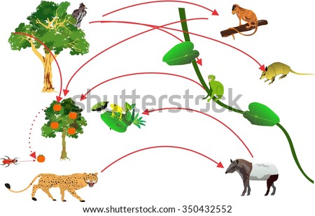 Shutterstock Puzzlepix