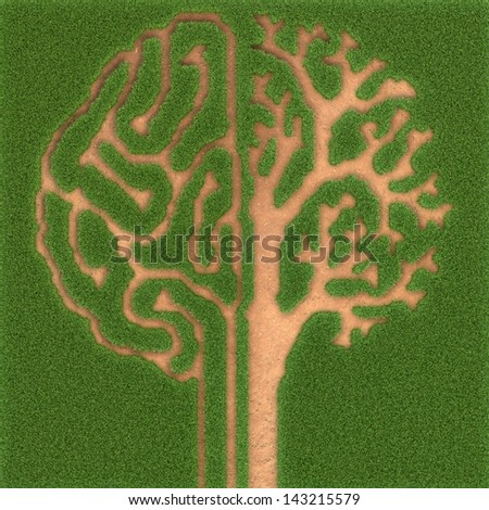 frontal view of brain looking like a tree