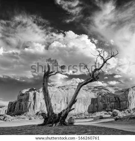 Similar – Image, Stock Photo Monument Valley Juniper