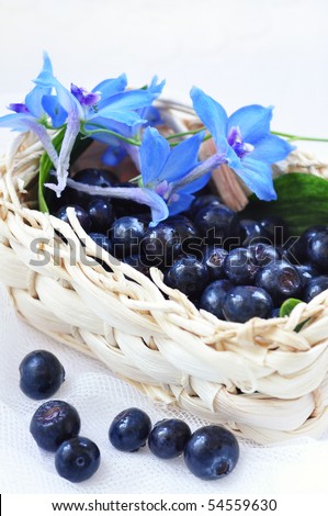 fresh blue berry fruit close up shoot