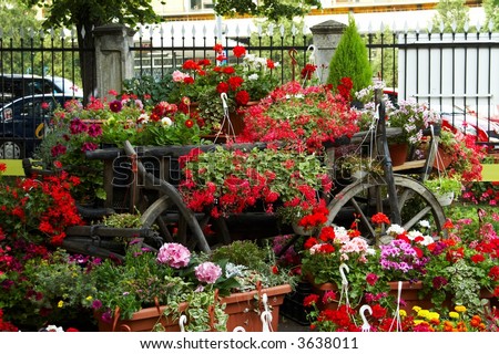 Cart full of flowers