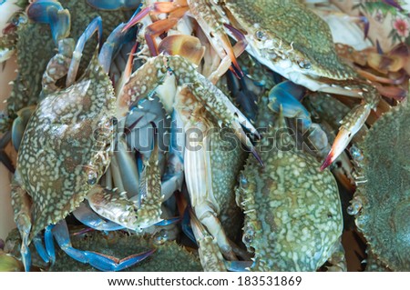 Fresh raw flower crab or blue crab in my kitchen
