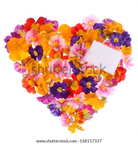 Flower heart with primrose blossoms and congratulation card