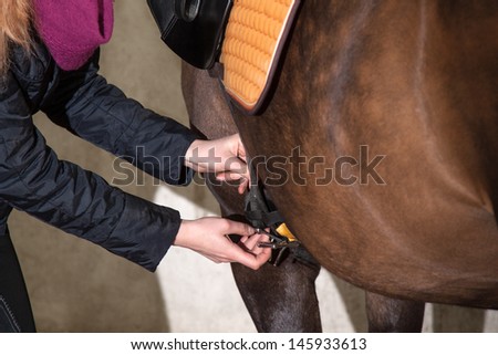 Girl saddles her brown pony (New-Forest-Pony)