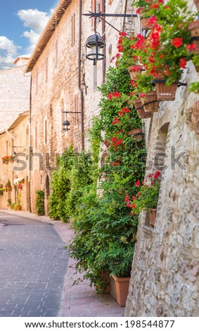 Alley with flowers, Assisi