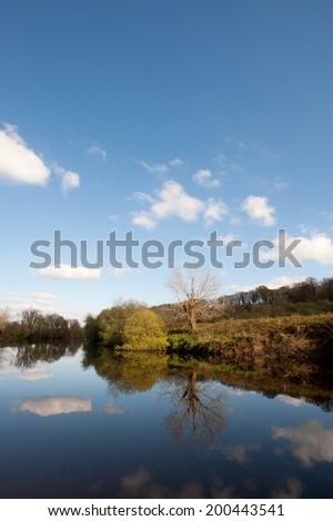 still river tree reflection