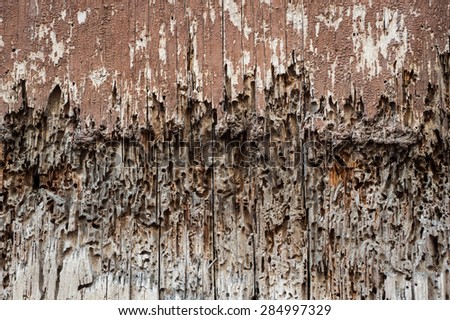 rotting wood door background