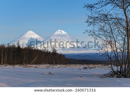Beautiful mountain landscape: view on Klyuchevskoy Volcano - the highest active volcano in Eurasia and Kamen Volcano. Russia, Far East, Kamchatka Peninsula.