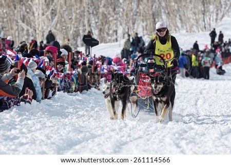 PETROPAVLOVSK-KAMCHATSKY, KAMCHATKA, RUSSIA - MARCH 2, 2014: Kamchatka Sled Dog Racing \