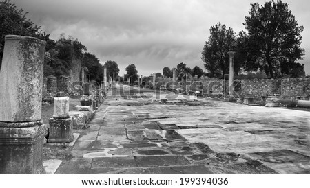 Monochrome architecture shot of the heritage greek city of Efes, in Turkey.