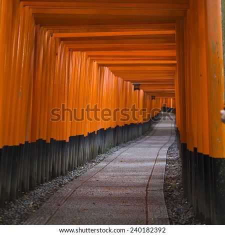 Thousand red tori gates lead to an endless path on a perspective and colorful still in Kyoto, Japan.