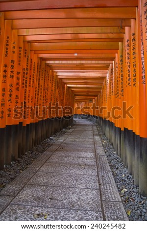 Many red tori gates lead to an endless red labyrinth path in Kyoto, Japan.