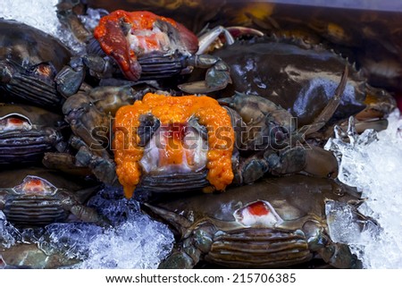 Black Crab  and yolk or Egg crap  lay on ice in seafood supermarket.