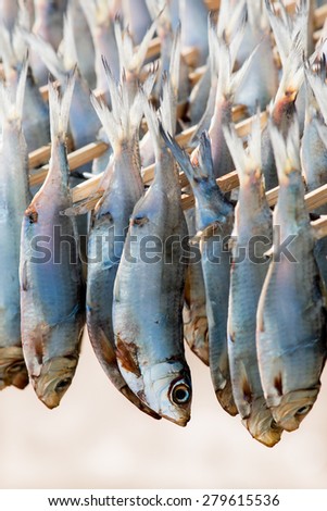 Closeup salted fish.Hang on to dry with sunlight.