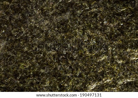 seaweed background texture