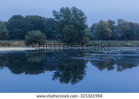 View of pond on a misty morning during blue hour just before sunrise. North East England. UK.