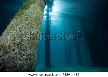 Turquoise blue water around coral and sponge covered pillars beneath a jetty in the Indian Ocean, Zanzibar with rays of light streaming down from the surface