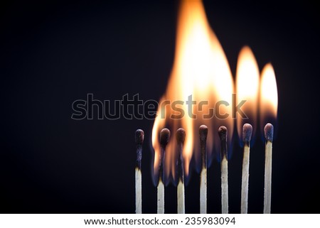 Match Fire/ a line-up of matchsticks on fire