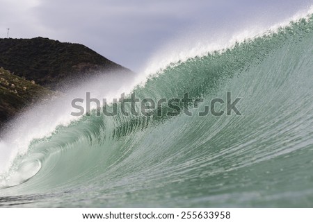 Big Wave/ a powerful big wave breaking perfectly at Piha Beach, New Zealand