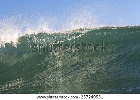 Green Wave/ a clean groomed wave breaking on the west coast of New Zealand