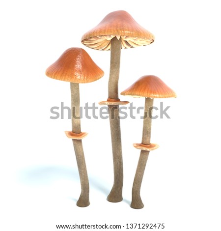 3d illustration of conocyble filaris mushrooms Zdjęcia stock © 