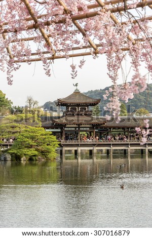 Covered Japanese Bridge over Lake in Garden behind the main building of Heian Shrine with out of focus cherry blossom foreground in Spring, Kyoto, Japan