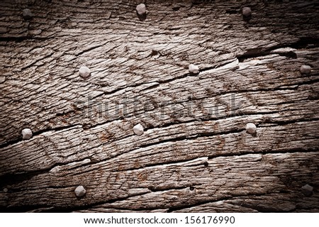 Old gray wooden texture with nail heads and cracks.  Shadowed angles.