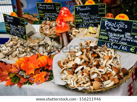Variety of mushrooms for sale at farmers market in Paris.