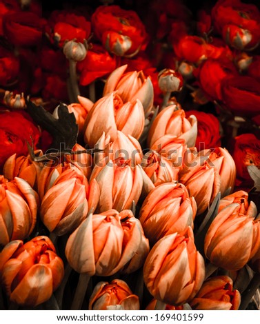 Orange tulips bouquets background. Aged photo. Shadowed angles.