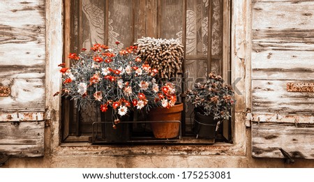 Colorful daisy flowers and cactus in pots placed on the window of the old stone house. Closed window with lace curtain, rusty lattice and open wooden shutters. (Arles, Provence, France) Aged photo.
