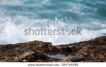 Sea waves with white foam rolling on the rocky coast. Water paddle in the hole. Water wears away the stone concept. Selective focus on the rock.