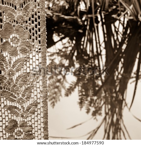 View from the window with lace curtain on the Japanese style pond. Sepia. Focus on curtain.