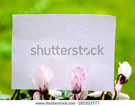 Blank note decorated with cyclamen flowers. Thank you or greeting card idea.