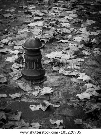 Autumn leaves on the stone pavement and old iron cast roadblock column. Black and white. Retro style.