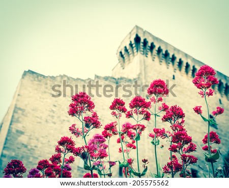 Ruins of the medieval castle and purple wild garlic flowers. (Chateauneuf du Pape, Provence, France) Nature and architecture background. Selective focus on the flowers. Aged photo.