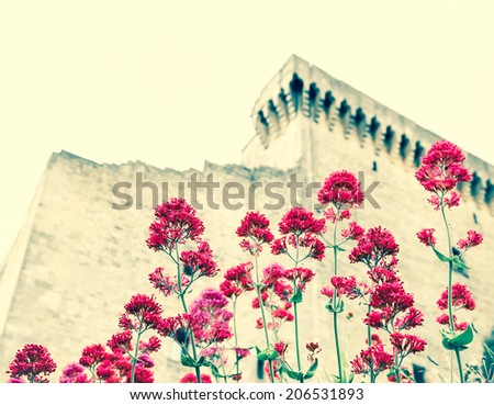 Ruins of the medieval castle and purple wild garlic flowers. (Chateauneuf du Pape, Provence, France) Nature and architecture background. Selective focus on the flowers. Aged photo.