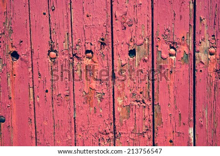 Texture of weathered wooden lining boards with peeling violet paint and rusty nail heads.