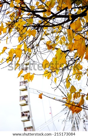 Autumn in Paris. Branches with golden leaves and ferris wheel silhouette at background. Selective focus on the leaves.