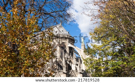 Notre Dame cathedral in autumn. View through branches with golden leaves. Paris, France.