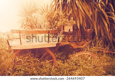 Old rustic wooden carriage with red wheels hidden in the grass of abandoned garden. Sunset light rays. Toned photo.